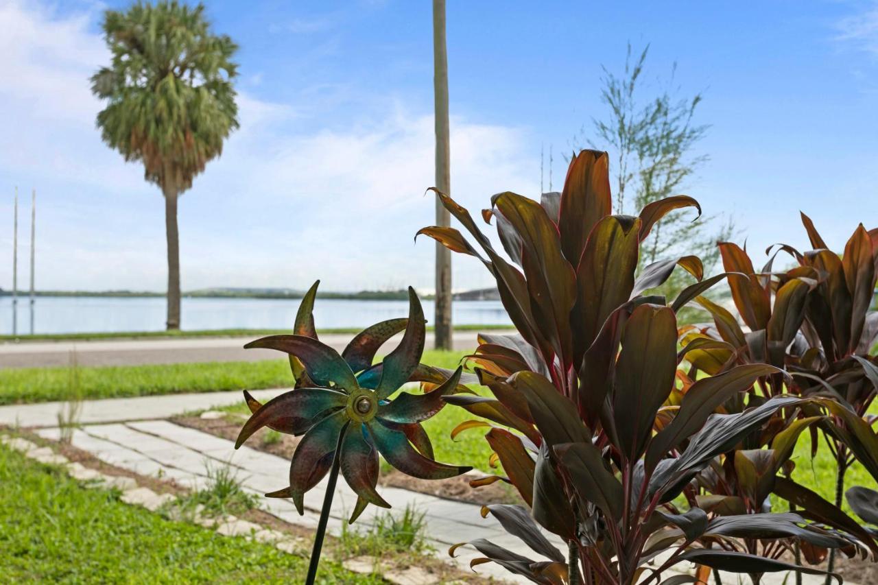 Bayside Safari 1Bed 1 Bath Apartment Tampa Exterior photo